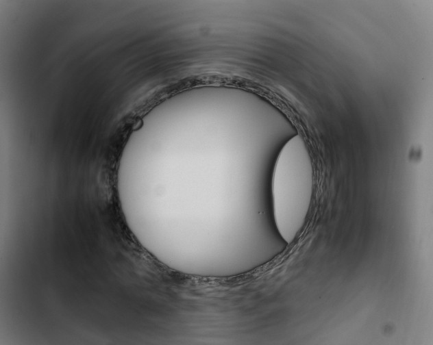 X0000103410774200809120947