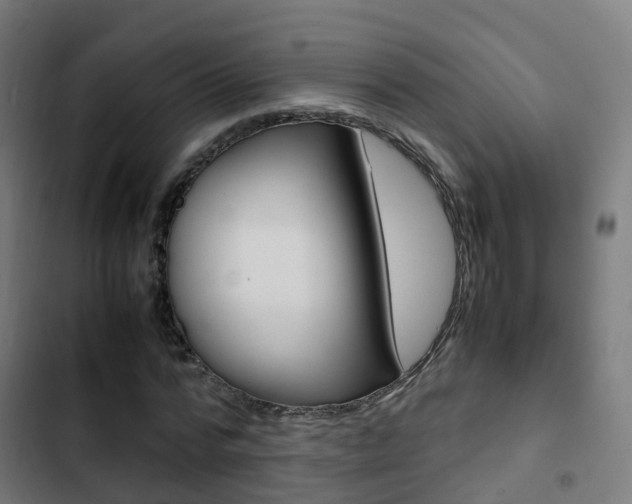 X0000103410776200809120947