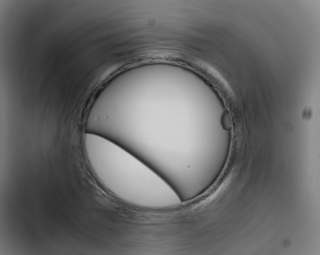 X0000103410777200809120947
