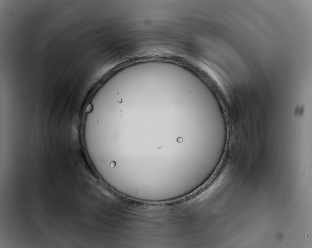 X0000103410778200809120947