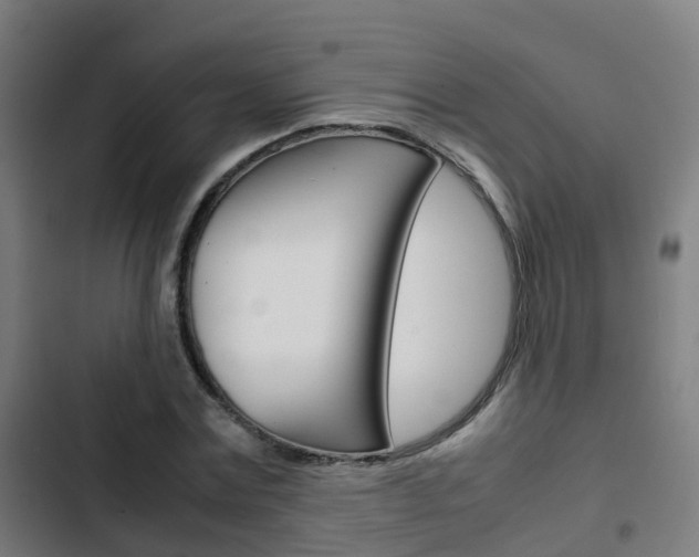 X0000103410779200809120947