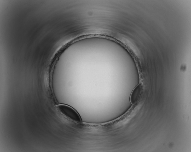 X0000103410781200809120947