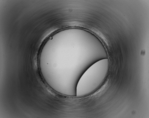 X0000103410782200809120947