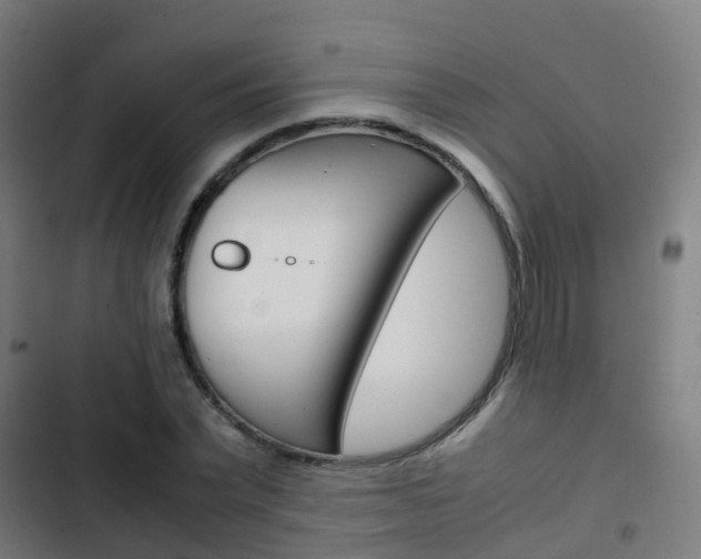 X0000103410783200809120947