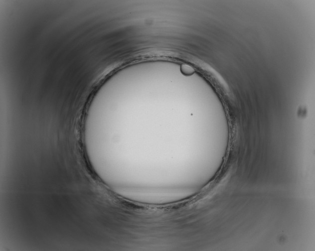 X0000103410785200809120947