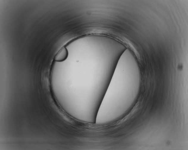 X0000103410794200809120947