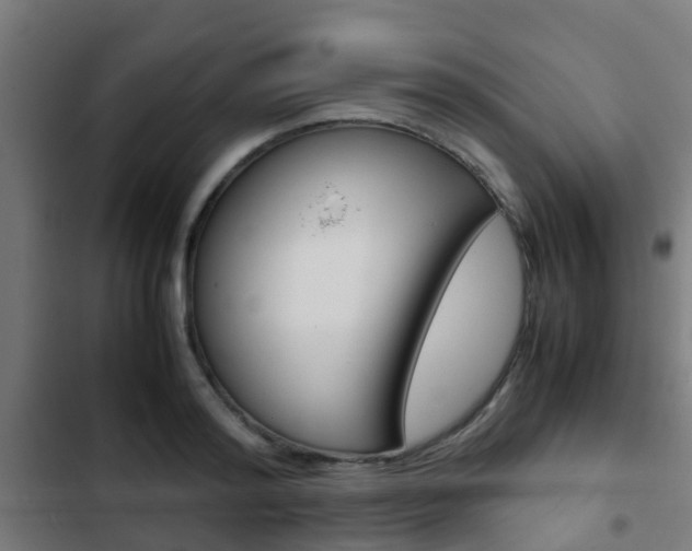 X0000103410796200809120947