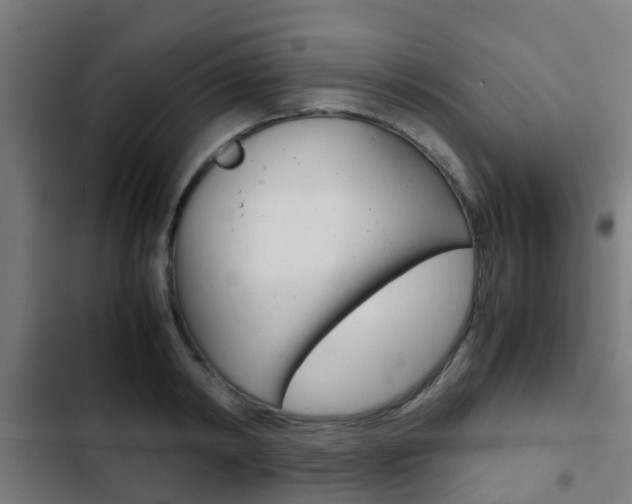 X0000103410798200809120947