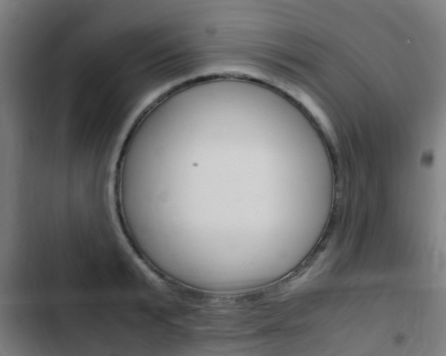 X0000103410799200809120947