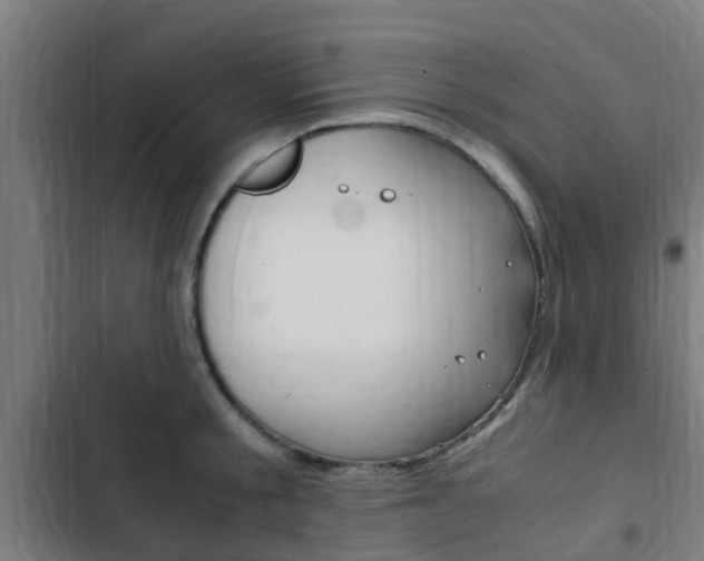 X0000103410805200809120947