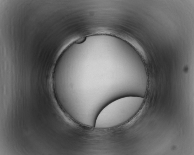 X0000103410806200809120947