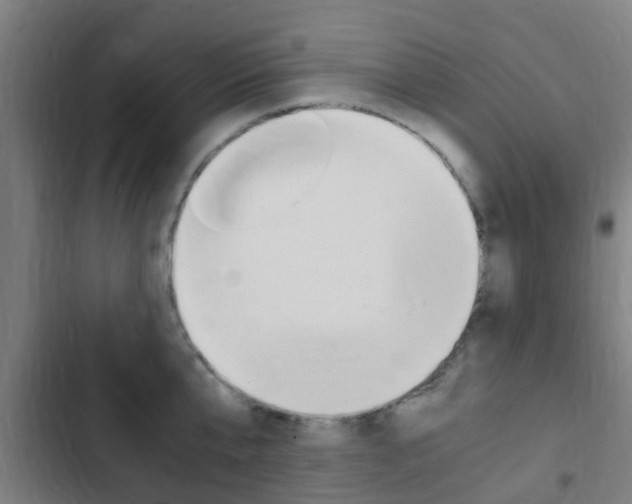 X0000103410807200809120947
