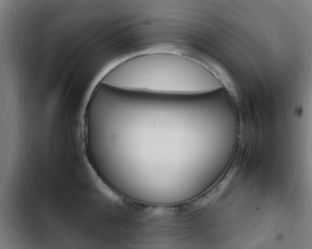 X0000103410808200809120947