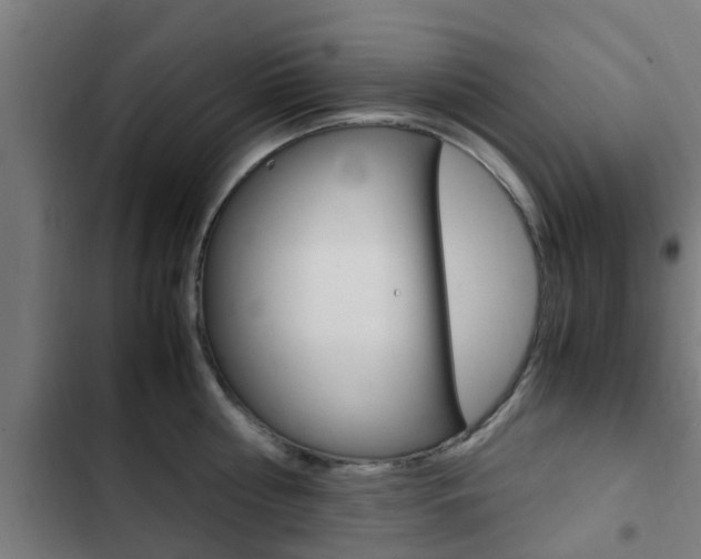 X0000103410810200809120947
