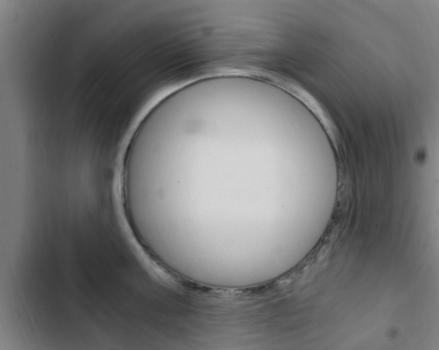 X0000103410811200809120947