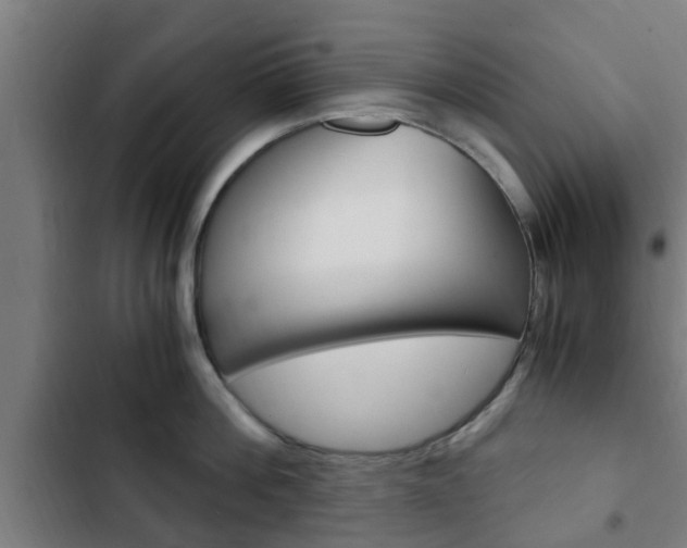 X0000103410812200809120947