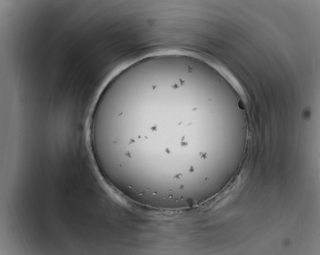 X0000103410813200809120947