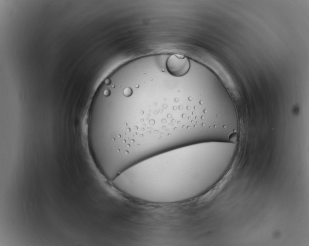 X0000103410814200809120947