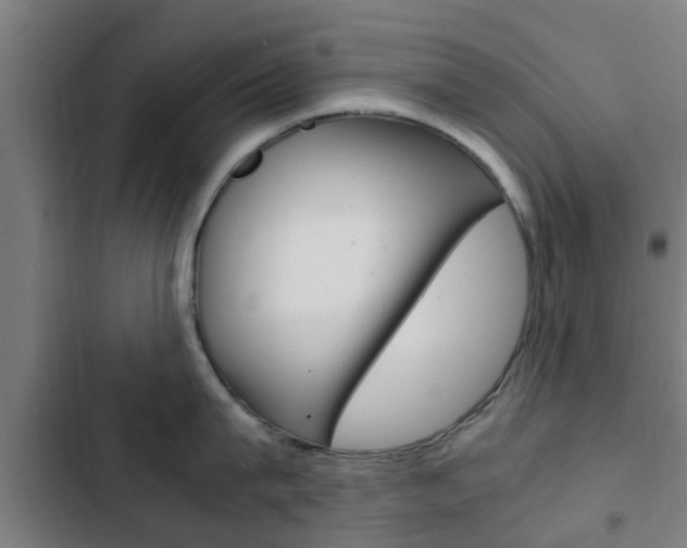 X0000103410815200809120947