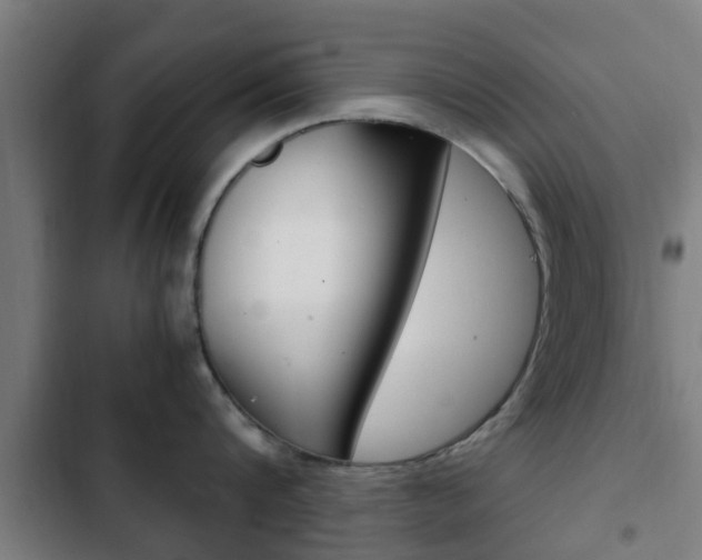 X0000103410816200809120947