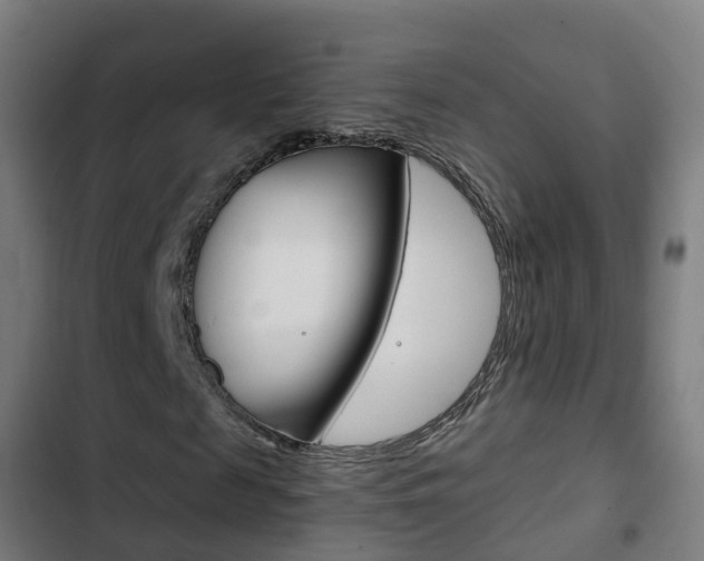 X0000103410817200809120946
