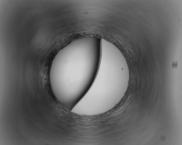 X0000103410818200809120946