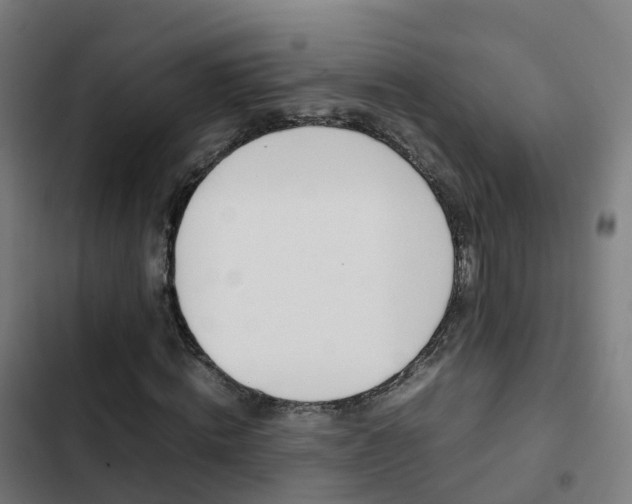 X0000103410820200809120946