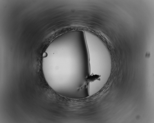 X0000103410821200809120946