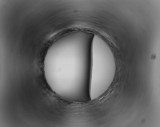 X0000103410822200809120946