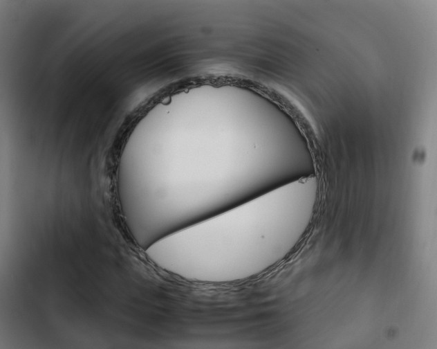 X0000103410823200809120946