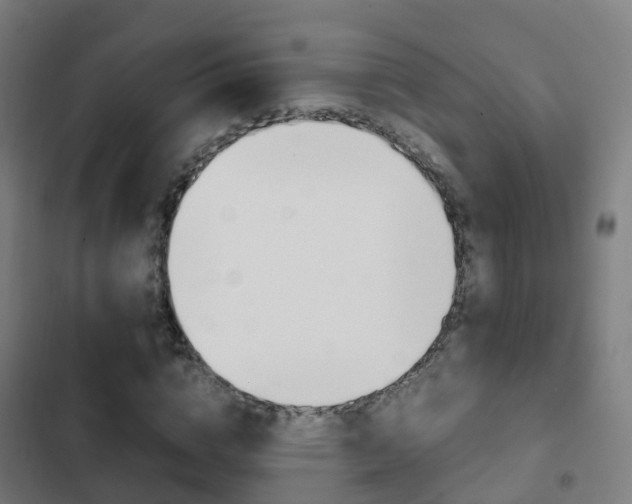 X0000103410824200809120946