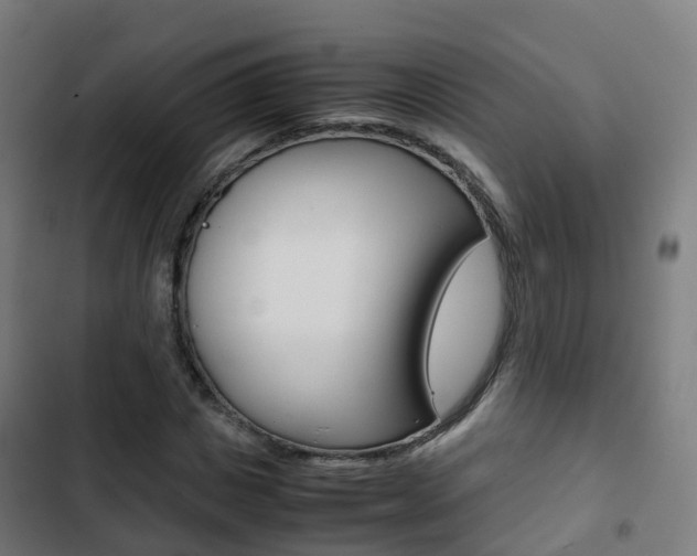 X0000103410825200809120946