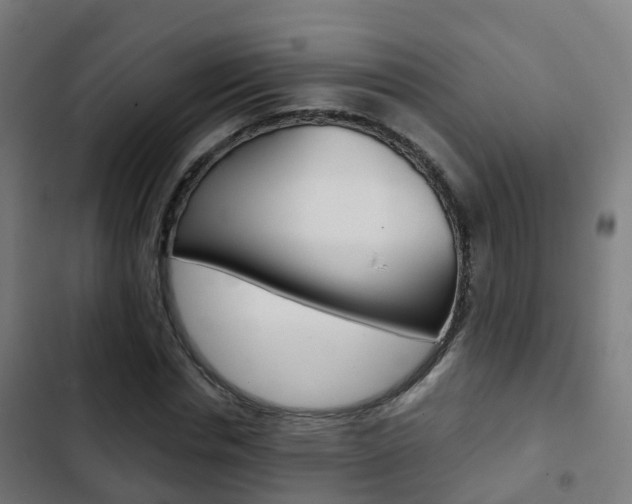 X0000103410826200809120946