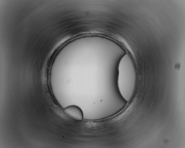 X0000103410827200809120946