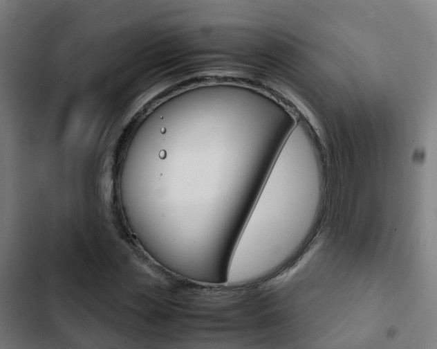 X0000103410829200809120946