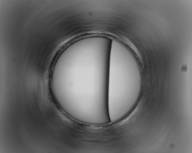 X0000103410831200809120946
