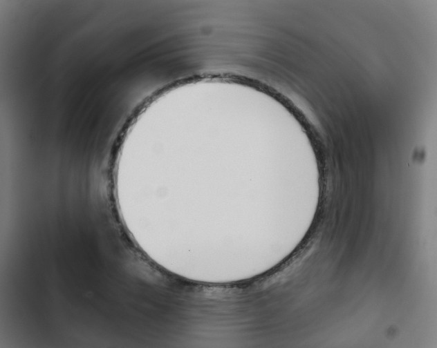 X0000103410832200809120946