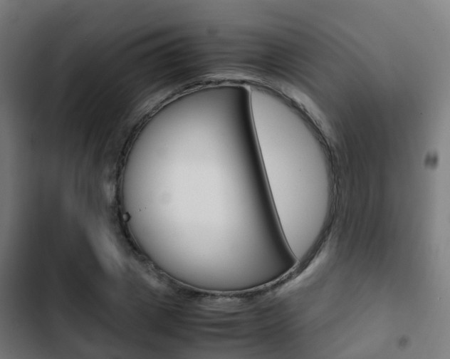 X0000103410833200809120946