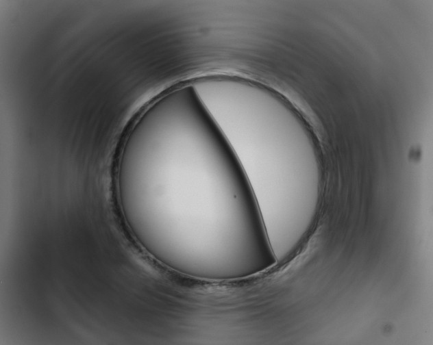 X0000103410834200809120946