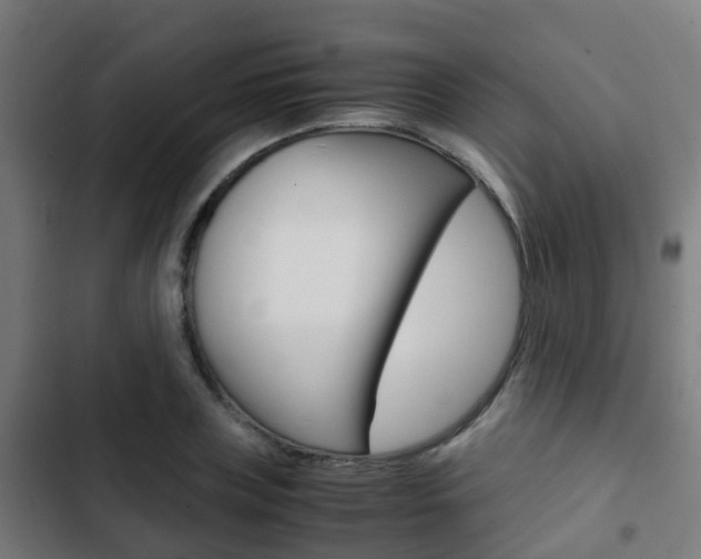 X0000103410835200809120946