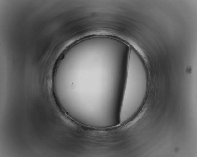 X0000103410837200809120946