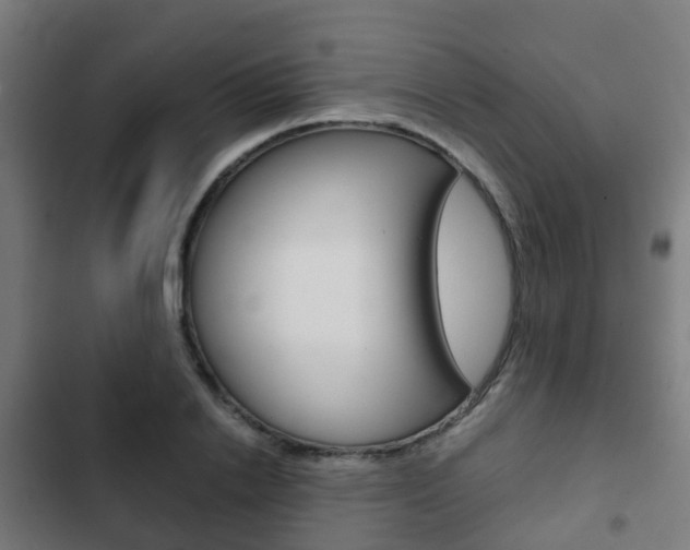 X0000103410838200809120946