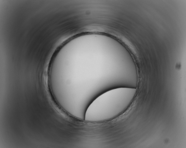 X0000103410840200809120946