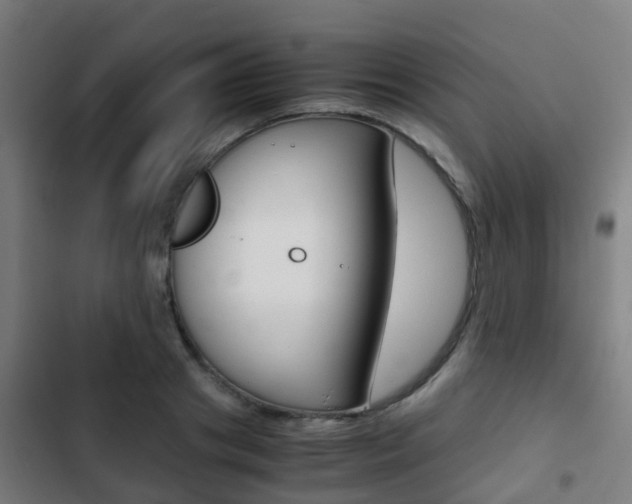 X0000103410841200809120946