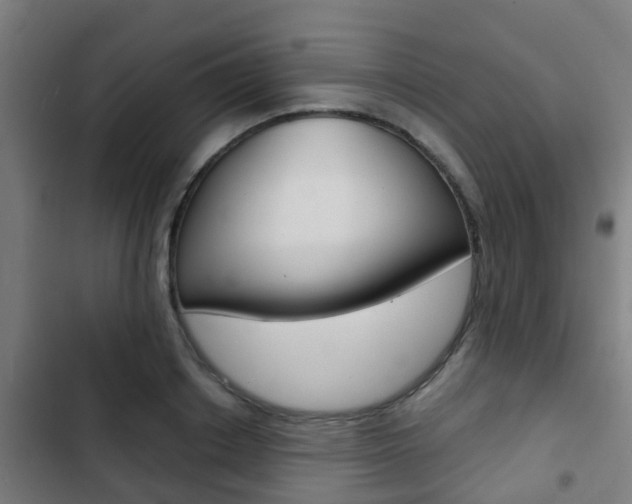 X0000103410842200809120946