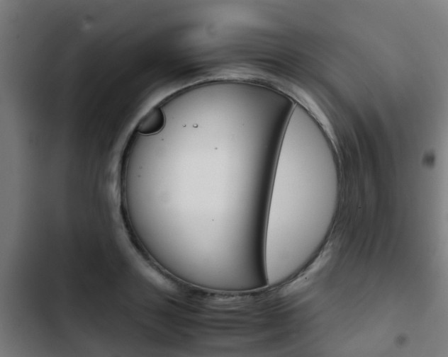 X0000103410843200809120946