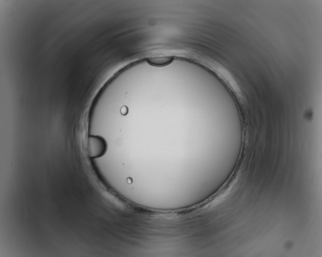X0000103410844200809120946