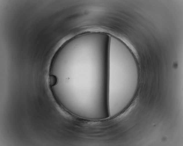 X0000103410845200809120946