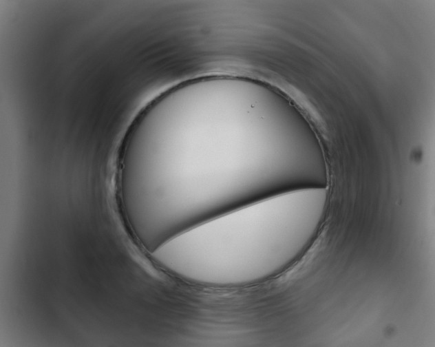 X0000103410846200809120946