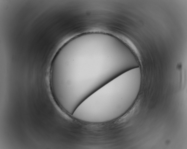 X0000103410847200809120946